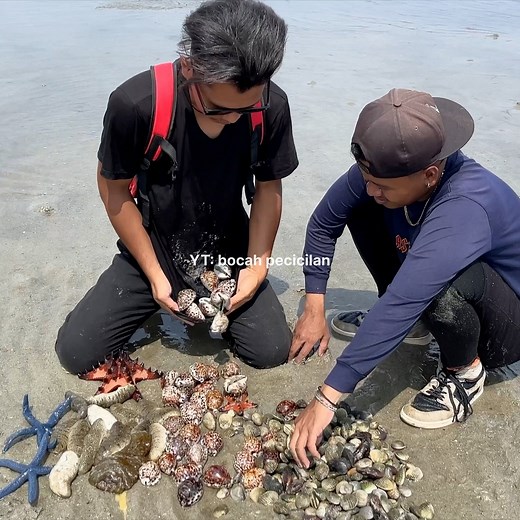 Diajak bang _kookiko2 cari kerang dan hewan aneh di laut Sulawesi😅 #viral #bocahpecicilan | Bocah pecicilan real