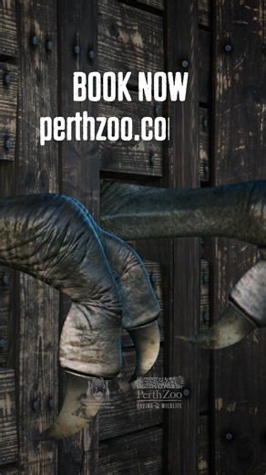 EXPERIENCE ZOORASSIC PARK THIS AUTUMN! 秊 From 31 March, step through the gates into the prehistoric world of dinosaurs. Entry is included with your general admission ticket! | Perth Zoo | Facebook