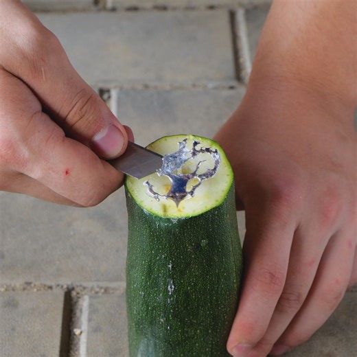 High-Standard Repair Tips to Elevate Your Skills | 3-Minute Hacks