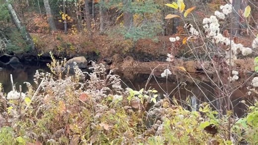 Suncook River at Short Falls in Epsom NH is Wild Today. | New Hampshire Wildlife Federation