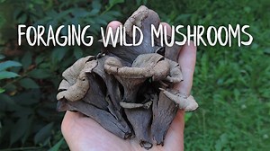 27K views · 583 reactions | I’m excited to announce that, in...