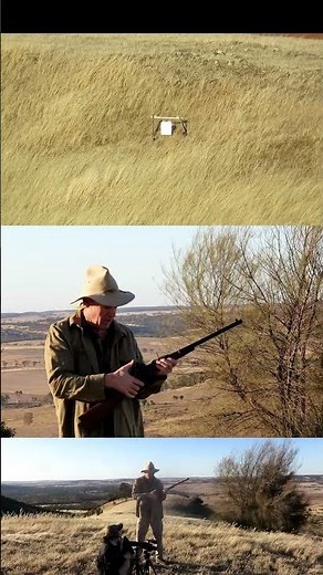 SHARPS Carbine at 600 yards