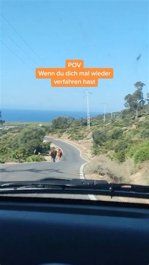 Wer brauch schon ein Navi?! „Die faszinierendsten Tiergeschichten der Welt“ gehen weiter! Ob Vierbeiner, Fisch oder Federvieh – hier dreht sich alles um die besten Storys aus dem Tierreich. Staunen, lachen, wundern: Wir zeigen die überraschendsten, spannendsten und einfach niedlichsten Geschichten aus der großen, bunten Welt der Tiere. 📺 Am 22.08. um 22:40 Uhr auf RTL – unbedingt einschalten! 🐾✨ | Punkt 12