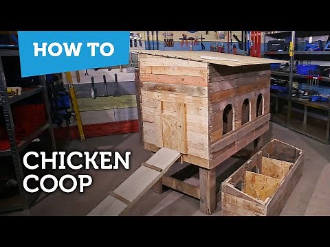 How to build a chicken coop