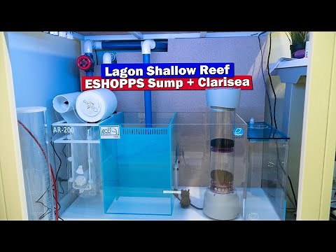 Lagoon Shallow Reef - New ESHOPPS Sump and ClariSea Filter roller install for Saltwater Aquarium