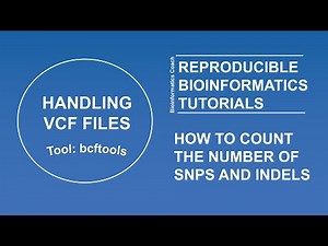 bcftools view | bcftools tutorial on how to count the number of snps and indels in a vcf file