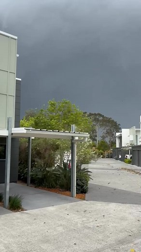 Lee Chapman on Reels