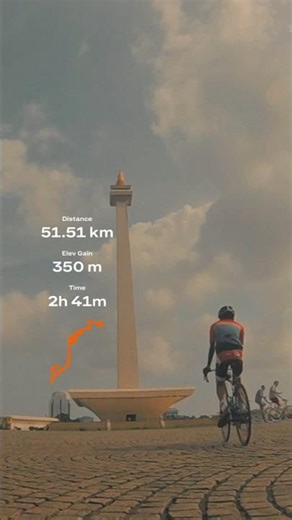 Cycling Wes Anderson