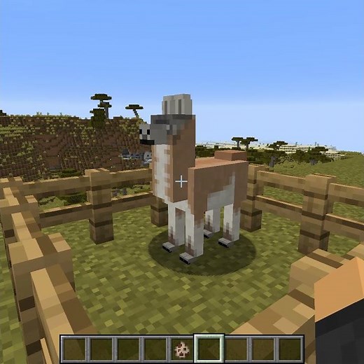 🧬DNA Has Changed For Animals🐓