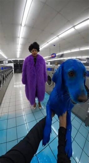 I found this puppy in the washing machine and this happened #rescueefforts #animals #dogrescue