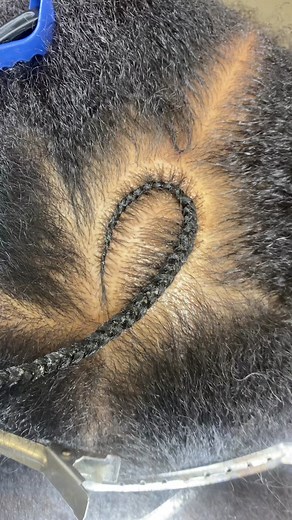 ✨ Braided With Precision ✨ on TikTok