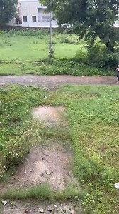 pkd bssk😂😂🤣🤣 #funny #comedy #viral #trending #cr7 #bollywood #Hollywood #movies #fun #galli #hotmovies #sexyvideo #viralsong #viralreel #viralsong #viraltrend | thethreefools