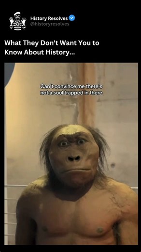 History | Ancient History on Instagram: "Homo erectus was one of the most remarkable and enduring species in human evolution, thriving for nearly two million years and spreading from Africa into Asia and Europe. Known for their upright posture, robust build, and larger brain capacity compared to earlier hominins, they were skilled toolmakers who crafted hand axes and other stone implements that marked a significant leap in human ingenuity. Evidence suggests that Homo erectus mastered the use of 