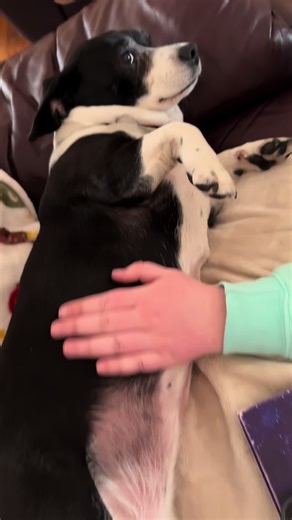 Happypiggytales (@happypiggytales)’s videos with original sound - Vids - Aesira