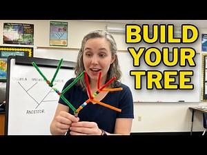 Students Can't Believe Phylogenetic Trees Look Like This