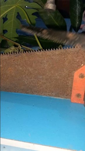 Quick Saw Sharpening Tips 💕