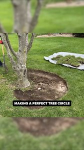 69K views · 945 reactions | Making a perfect tree circle #gardening | Everyday Home Repairs | Facebook