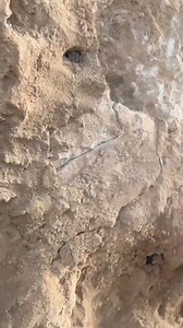 1.5M views · 8K reactions | Amazing treasure hunt in the rock with metal detector | Ghost of atlantis | Facebook