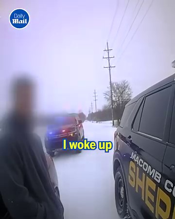 18K views · 297 reactions | He only needed a hug to feel better 凉 | Daily Mail Video | Facebook