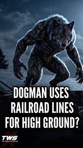 DOGMAN USES RAILROADS FOR HIGH GROUND? #paranormalpodcast #podcast THE WEEKLY STRANGE