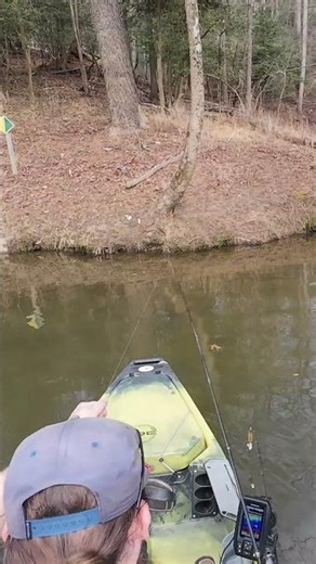 Early Spring Smallmouth on the Spinnerbait!