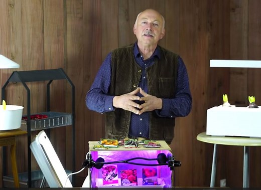 Fabriquer une lampe pour semis : Guide pratique et astuces LED