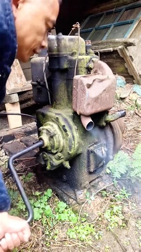 Reviving a Legend: Vintage Lister D Cold Start! #shorts