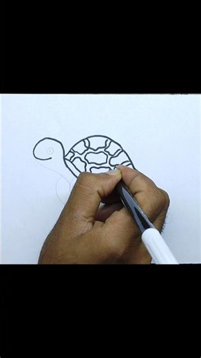 🐢 How to Draw a Turtle Easily | Full video on our YouTube channel.‪@DrawItEasy-f2kpaaq‬