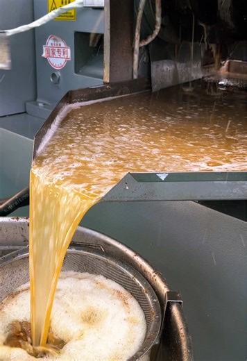 Peanut Oil Press Machine for Hot and Cold Pressing