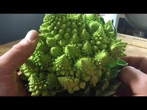 Trimming and preparing Romanesco