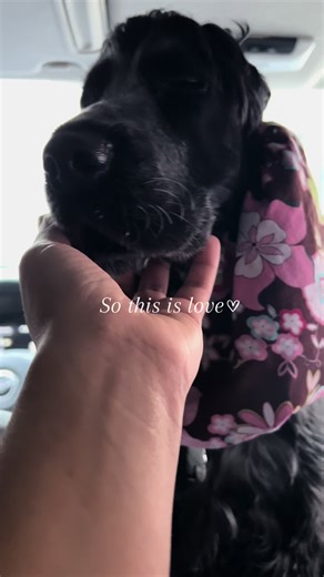 Cuentas recomendadas