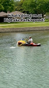 🤿 Underwater residents of Big Lake Park’s pond are getting VIP treatment as they get relocated to a safe home nearby. 🕵🏻‍♂️ Our friends at @wearehalff brought in their expert Pond Detective @jerjor2012 to rescue native mussels with his bare hands. 🚩 The Big Lake pond restoration is about to make headway! | Plano Parks & Recreation