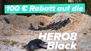 344K views · 714 reactions | Jetzt zuschlagen und sparen! Aktuell gibt es die GoPro HERO8 Black mit HyperSmooth 2.0 Bildstabilisierung für 100,- EUR günstiger bei uns im Shop auf GoPro.com + kostenlose 32GB SD-Karte | GoPro | Facebook