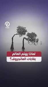 تعد حائط صد أمام الكوارث الطبيعية لذا هي هدف أساسي للعالم أجمع.. تعرف على أهمية غابات المانجروف | نداء الأرض The Earth Call