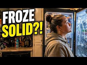 I Almost Lost All My Food...