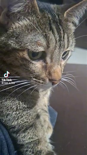 EL REFUGIO DE MORGANNA on Instagram