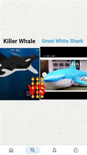 Great White Shark Remote Control VS Killer Whale