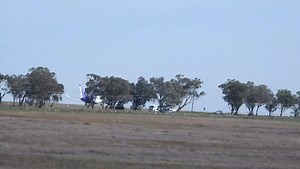 18K views · 734 reactions | Welcome to Tamworth Bonza. Melbourne to Tamworth. Boeing 737 MAX 8. Flight time 1:15mis. Departs 12:15pm back to Melbourne. Bonza Airlines Fans Credit Dave. | Tamworth Regional Weather | Facebook