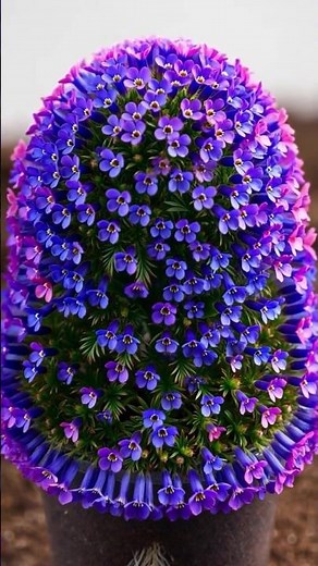 Lobelia Growth Timelapse 4K#Shorts #youtubeshorts