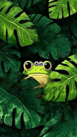 D20 #python #learnpython #coding #programming #beginners #codinglife #developer #tech #learncoding