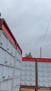 1.1K views · 31 reactions | Hello, Bee Friends!!!  Today is a...