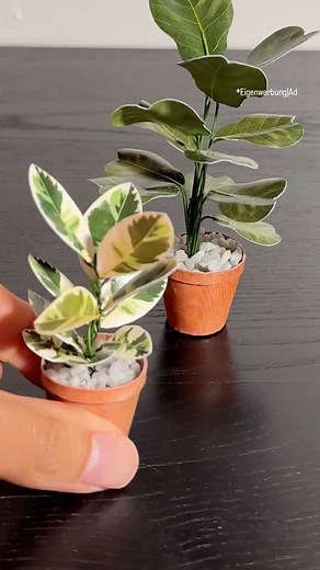Dollhouses & Miniatures | There are new miniature plant templates available in my Etsy shop 😊 what’s your favourite plant? In this video I’m making a tiny fiddle... | Instagram