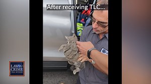 WATCH: Dashcam video shows a Nevada state trooper rescuing a tiny kitten that was trapped between a concrete barrier and a busy highway in Las Vegas. The kitten reportedly did not want to be rescued, running away from the trooper, who had to chase it and scoop it up. The kitten was named "Trooper Kitty" and has found a forever home. | Law&Crime