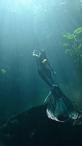 28K views · 2K reactions | The sunlight beams bring the mermaid to the surface so she can feel the warmth on her face  隆‍♀️ @verobeachmermaid | Mermaid Freedive | Facebook