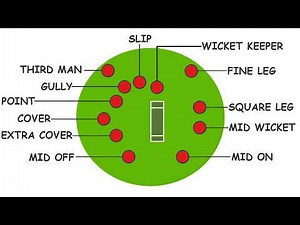 Every Cricket Fielding Position Explained In 10 Minutes