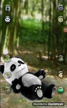 Talking Panda Gameplay