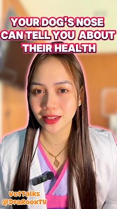 59K views · 1.9K reactions | Regularly, Check you Dog's Nose #nose #nasaldischarge #discharge #reelsvideoシ #drarooxtv #fypシ゚viralシ #fb #veterinarian #reelsfypシ #fypシ゚ #foryoupageシ #docroox #docrox #furbaby #furbabies #furmom #health | Dra. Rooxtv | Facebook
