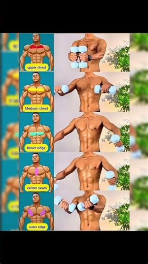 Top 5 Dumbbell Chest Exercises(HOME)#shots #shortsfeed #homeworkout #chest#gymworkout