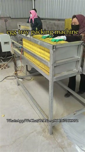 Egg tray baling machine used in egg tray carton production line #eggtray #eggcarton #eggtraymachine