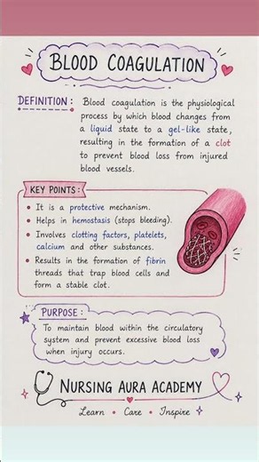 The Process of Blood Coagulation Anatomy and Physiology Nursing Aura Academy#bloodstream#coagulation